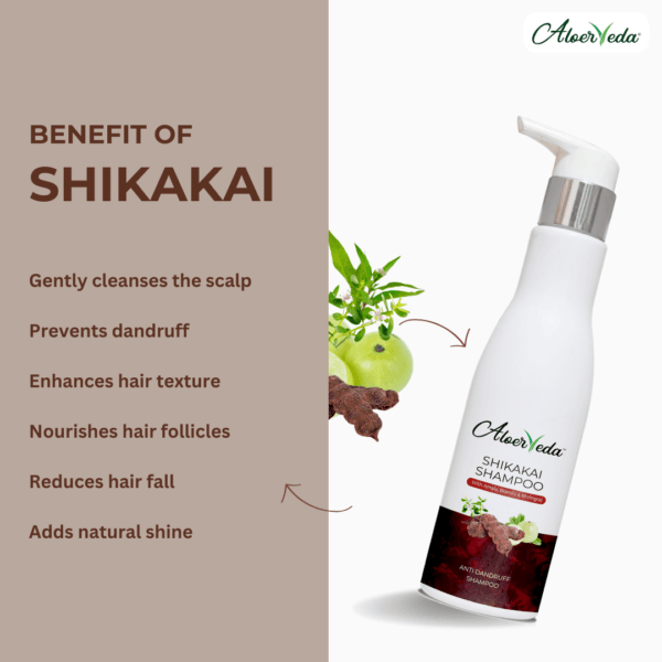 Shikakai Shampoo - Image 3