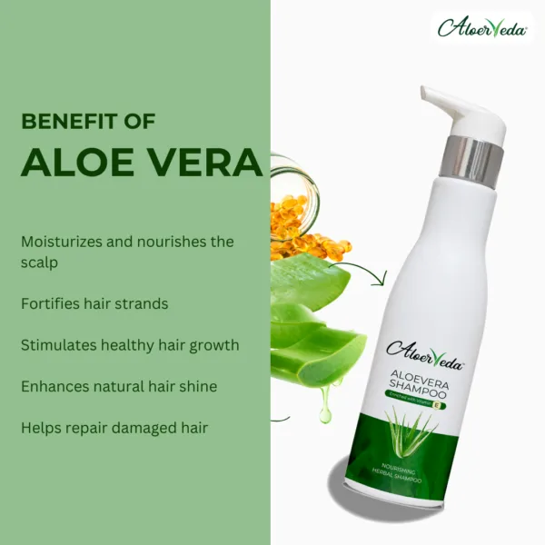 Aloevera Shampoo - Image 3